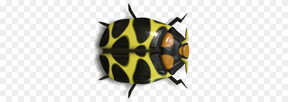 Ladybug Animal, Clothing, Hardhat, Helmet Free Png