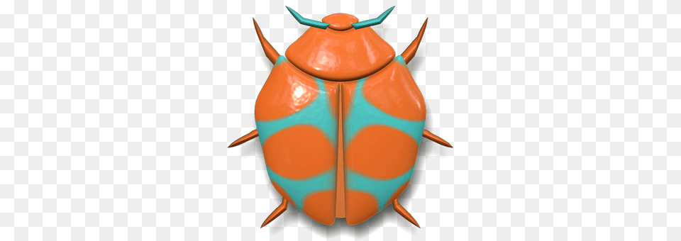 Ladybug Animal Png Image