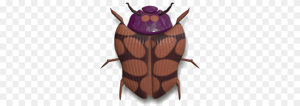 Ladybug Animal, Dung Beetle, Insect, Invertebrate Free Png Download