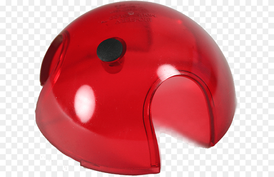 Ladybug, Helmet Free Transparent Png