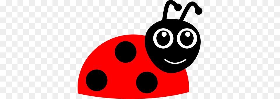 Ladybug Png Image