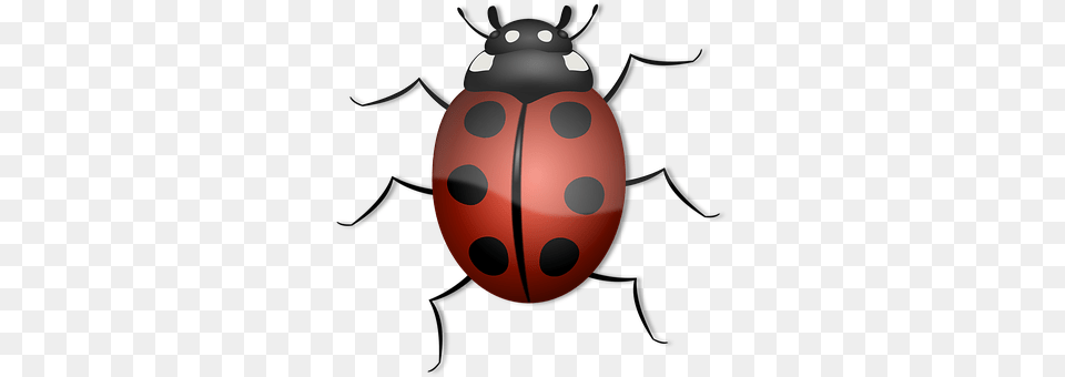 Ladybug Ammunition, Grenade, Weapon, Animal Free Transparent Png