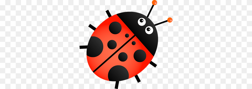 Ladybug Disk Png Image