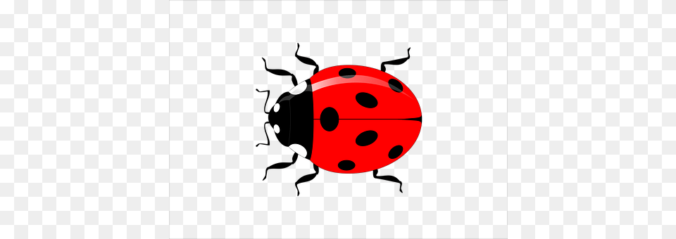 Ladybug Free Png Download