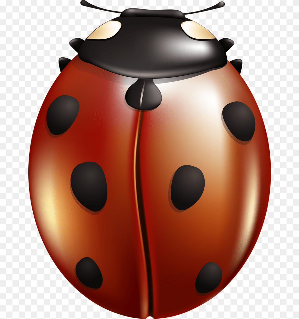 Ladybug, Disk, Animal Png Image