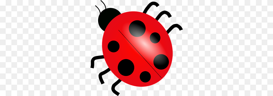 Ladybug Sphere Free Png Download