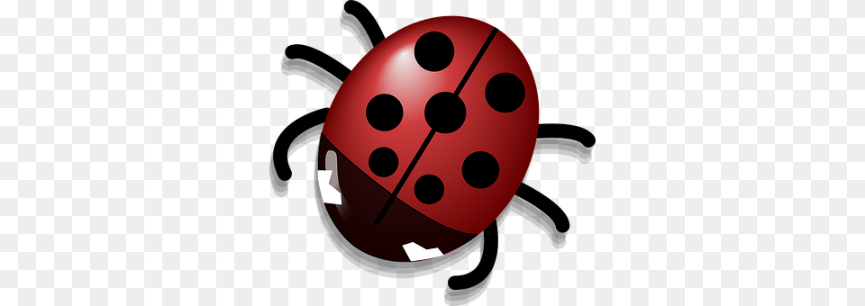 Ladybug Egg, Food, Disk Png Image