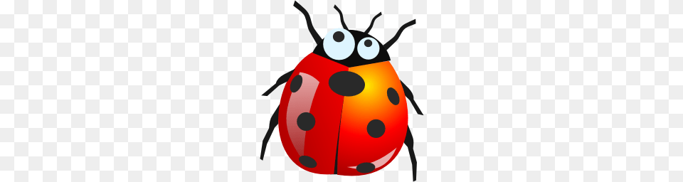 Ladybug, Animal, Ammunition, Grenade, Weapon Png