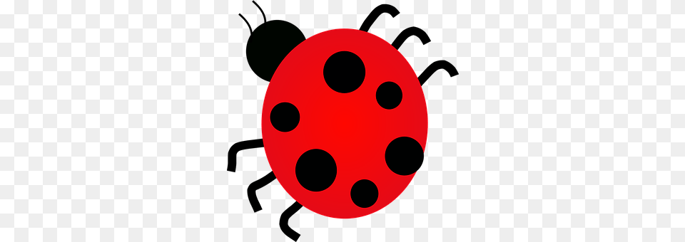 Ladybug Sphere, Disk Free Transparent Png