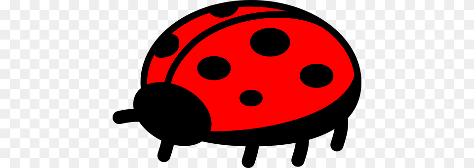 Ladybug Png Image