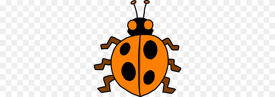Ladybug Animal Png