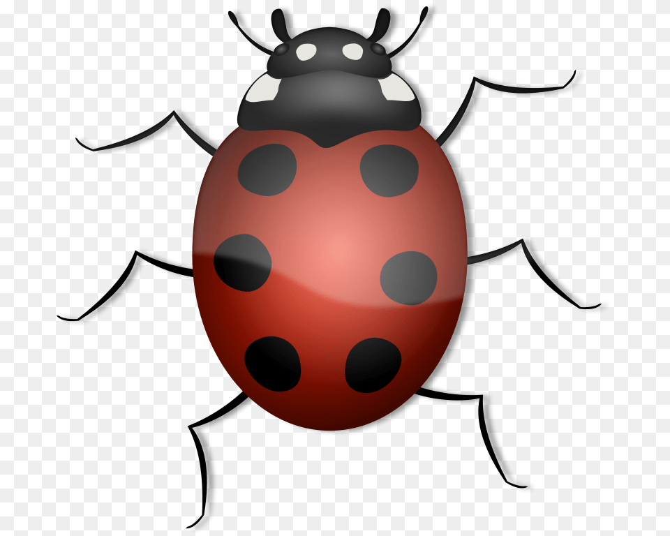 Ladybug, Ammunition, Grenade, Weapon, Animal Png