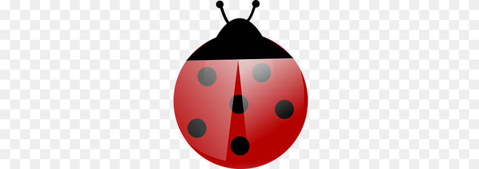 Ladybug Disk, Game, Dice Png Image