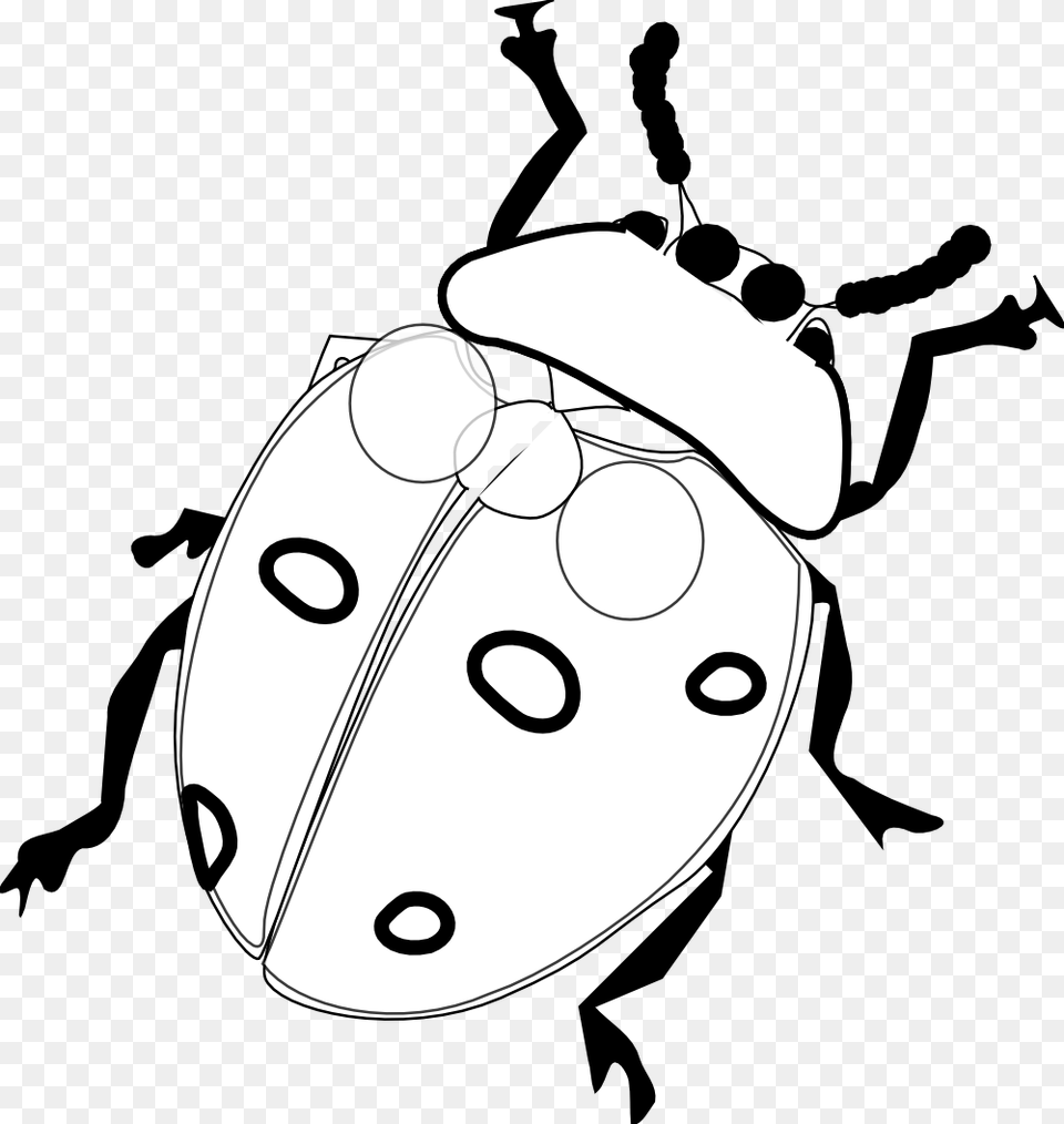 Ladybug 7 Black White Line Art Flower Drawing Scalable Realistic Ladybug Coloring Page, Animal, Baby, Person, Head Free Png