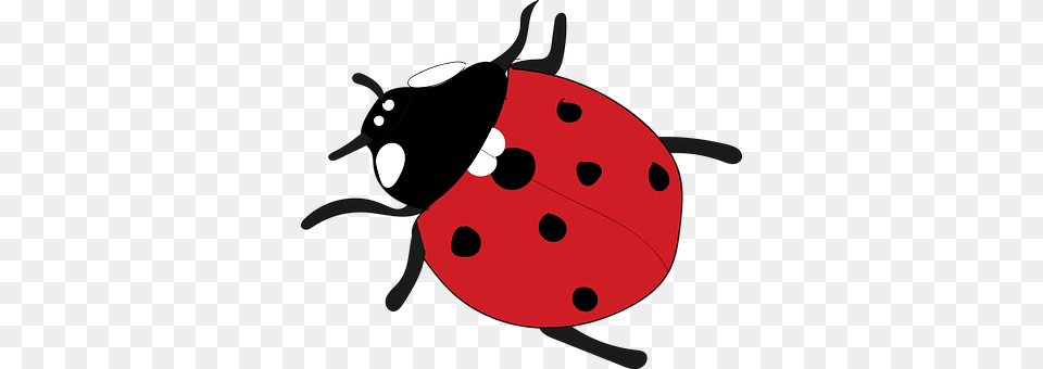 Ladybug Animal, Nature, Outdoors, Snow Free Png
