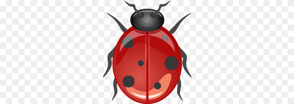 Ladybug 9492, Animal, Device, Grass, Lawn Png