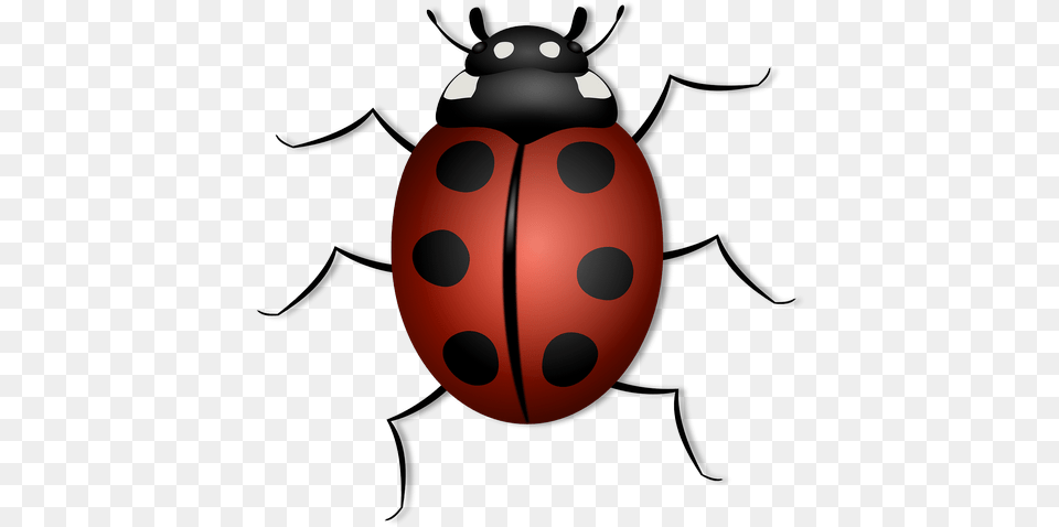 Ladybug Animal Beetle Bug Images U2013 Ladybird Picture For Kids, Ammunition, Grenade, Weapon Png