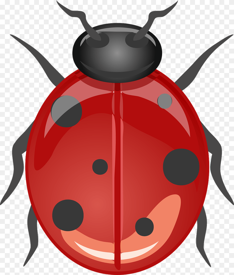 Ladybug Beetle Lucky Ladybug Animal Insect Red 10 Animals No Bone, Dynamite, Weapon Png Image