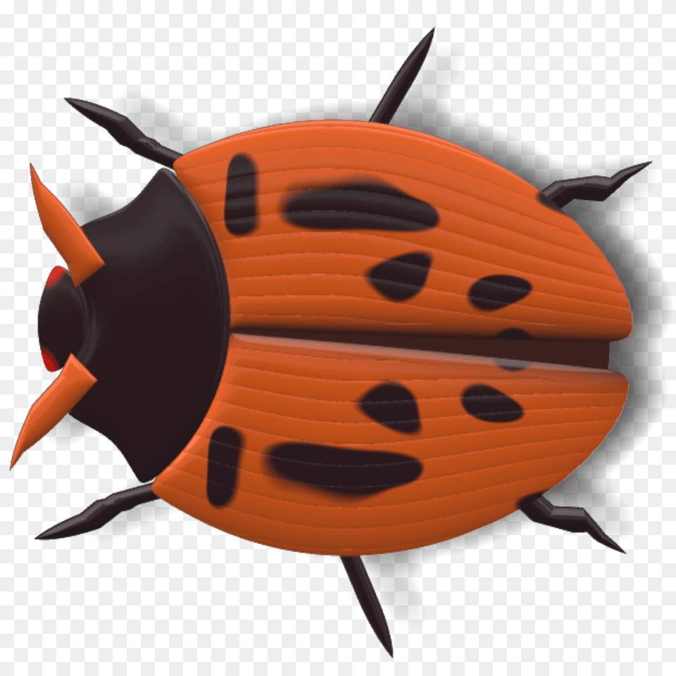 Ladybug Black And Red, Animal, Fish, Sea Life, Shark Free Transparent Png