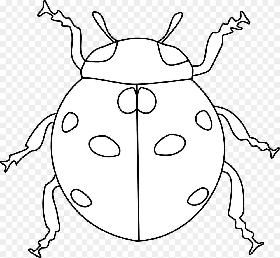 Ladybug Black And White Clipart, Animal, Dung Beetle, Insect, Invertebrate Free Transparent Png