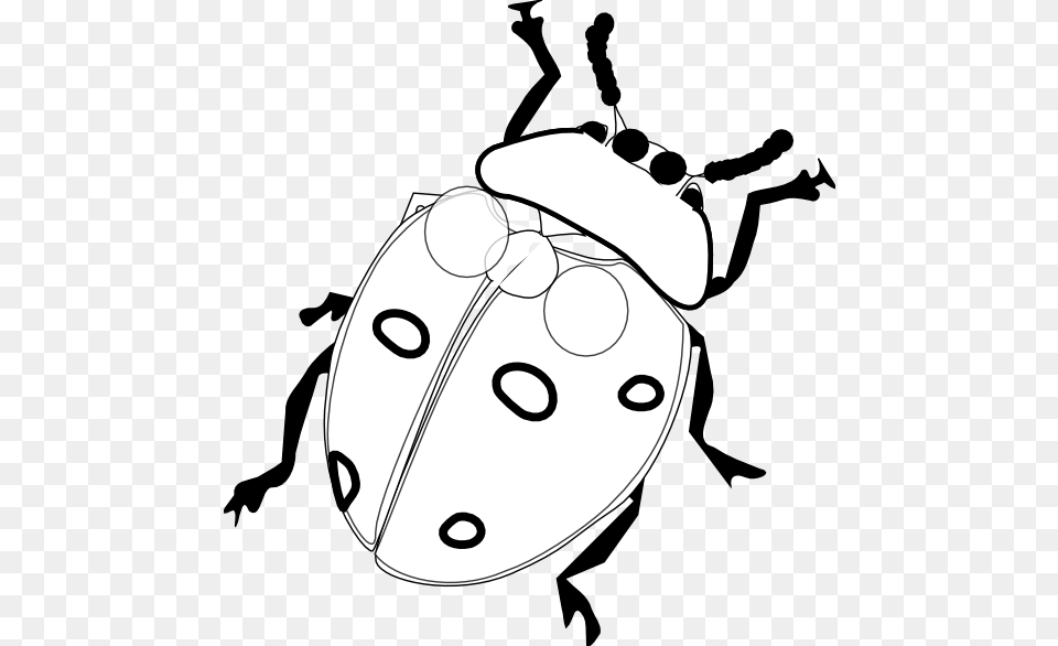 Ladybug Black And White Clipart, Animal, Baby, Person, Face Free Transparent Png