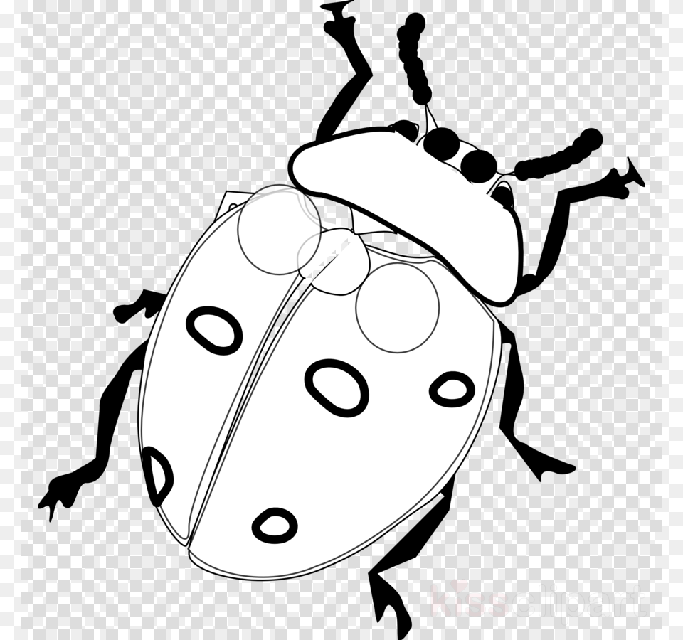 Ladybug Black And White Clipart Lucky Ladybug Ladybird Ladybird Black And White Clipart, Face, Head, Person, Baby Png Image
