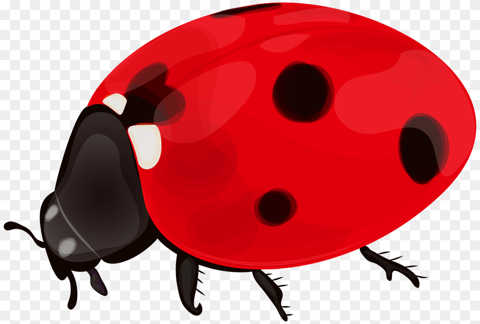 Ladybug Clip Png