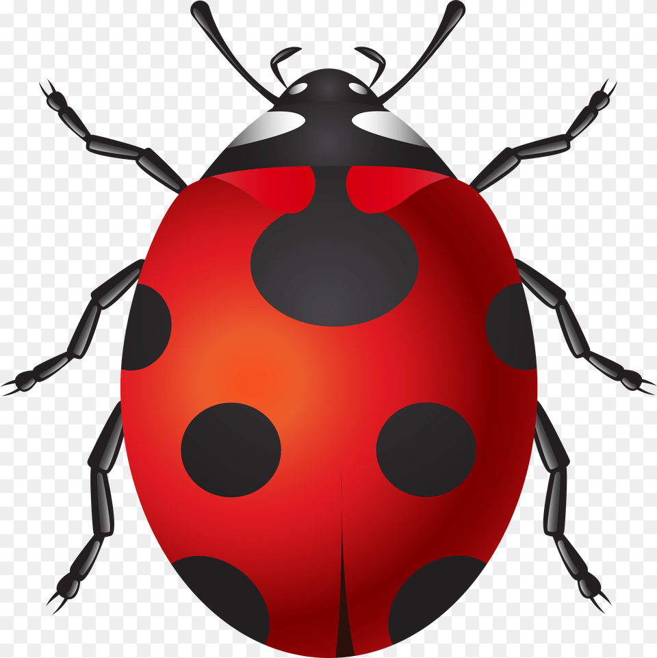 Ladybug Clip Art, Animal, Dynamite, Weapon Free Transparent Png