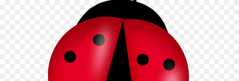 Ladybug Clip Art Joyful Scalable Vectorial Image Representing Free Png