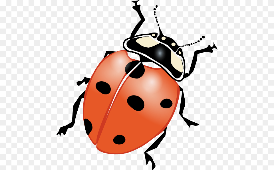 Ladybug Clip Art Vector, Animal, Nature, Outdoors, Snow Free Transparent Png