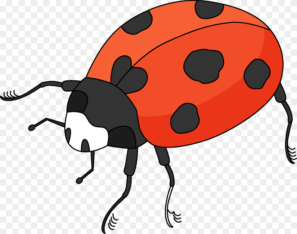 Ladybug Clipart, Animal Free Transparent Png