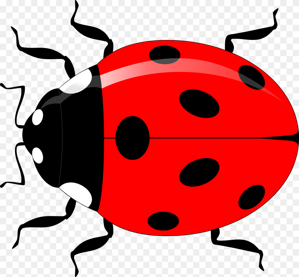 Ladybug Clipart, Animal Png Image