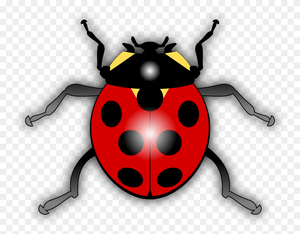 Ladybug Clipart, Baby, Person, Animal Free Png Download