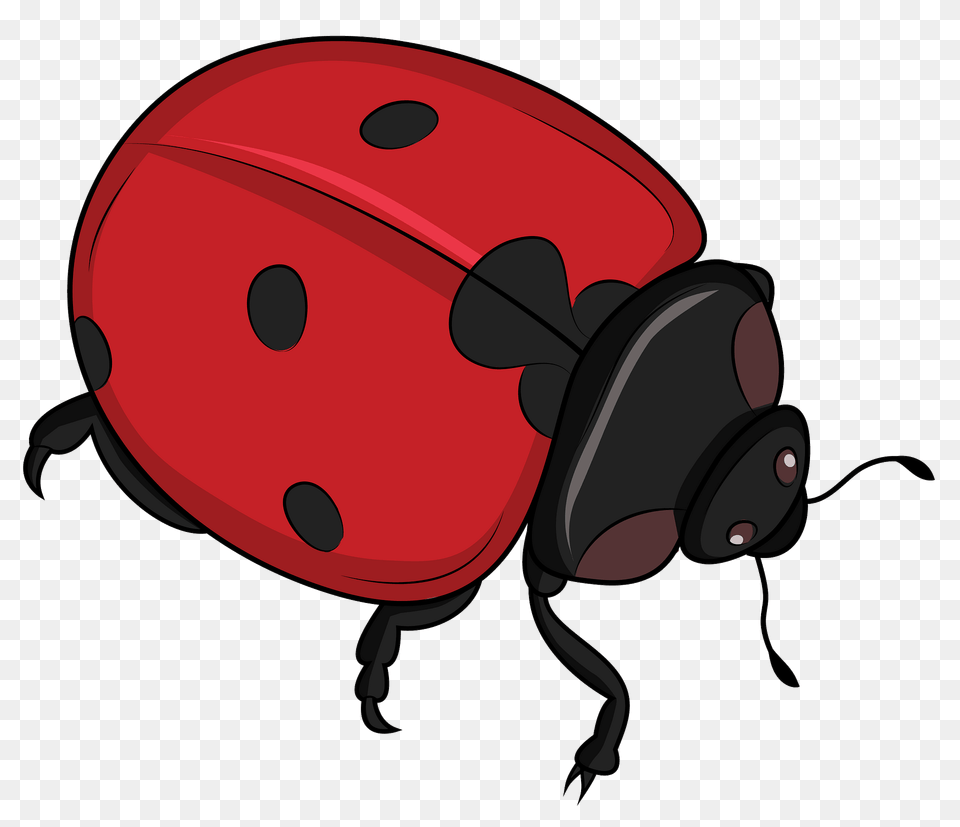 Ladybug Clipart, Animal Free Transparent Png