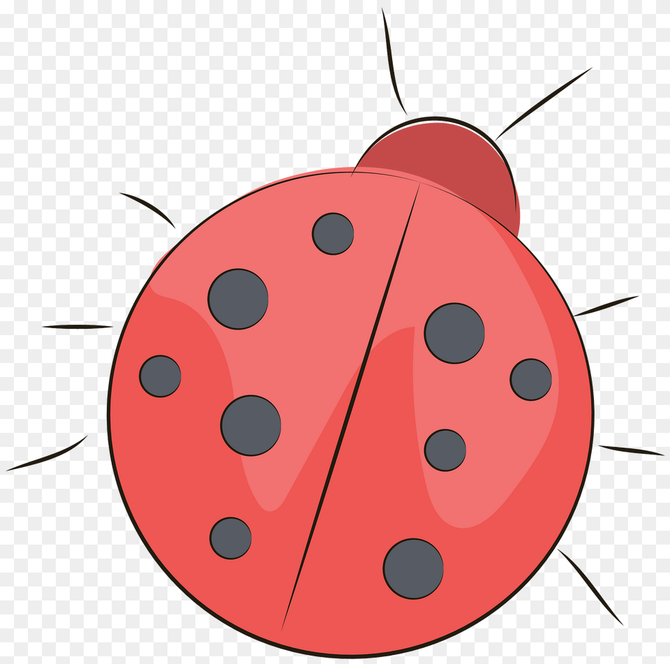 Ladybug Clipart, Animal, Fish, Sea Life, Shark Png