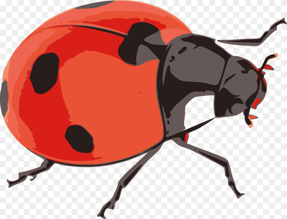 Ladybug Clipart, Animal, Kangaroo, Mammal Png