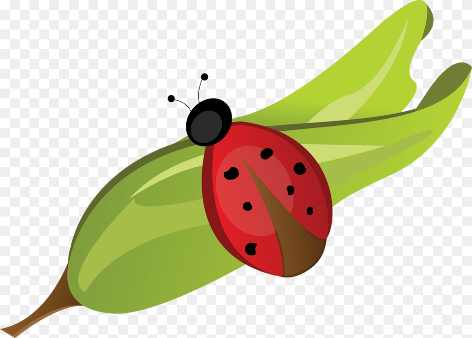Ladybug Clipart, Leaf, Plant, Flower, Food Png Image