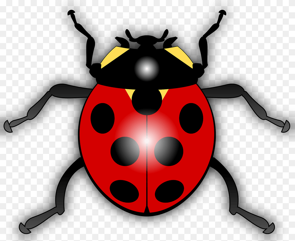 Ladybug Clipart, Animal, Invertebrate, Spider Png