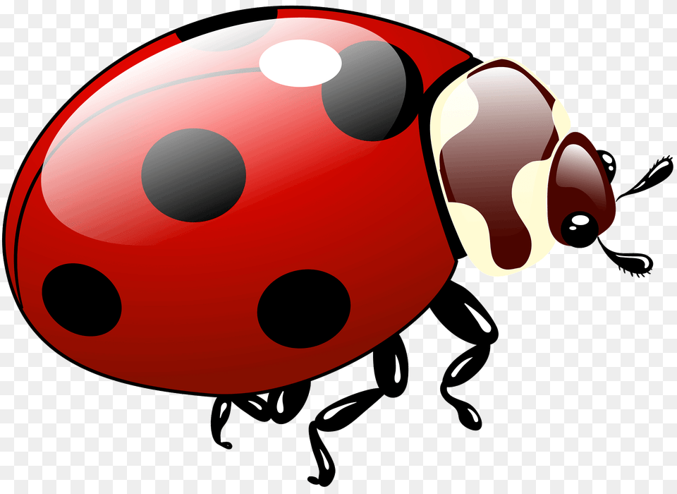 Ladybug Clipart, Animal, Dynamite, Weapon Free Png Download