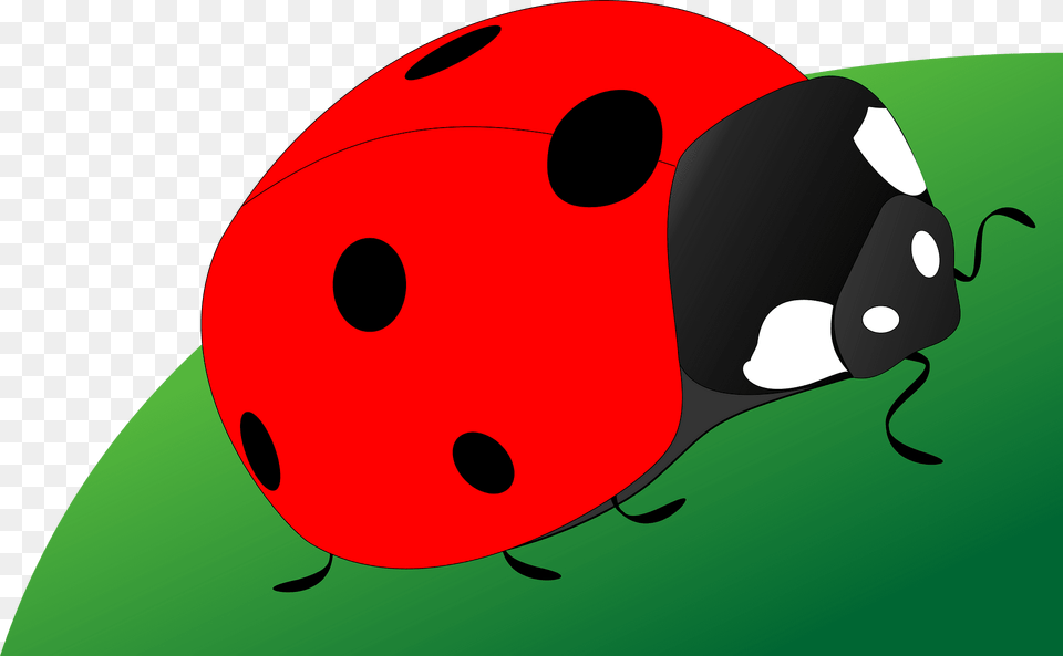 Ladybug Clipart, Animal Free Png