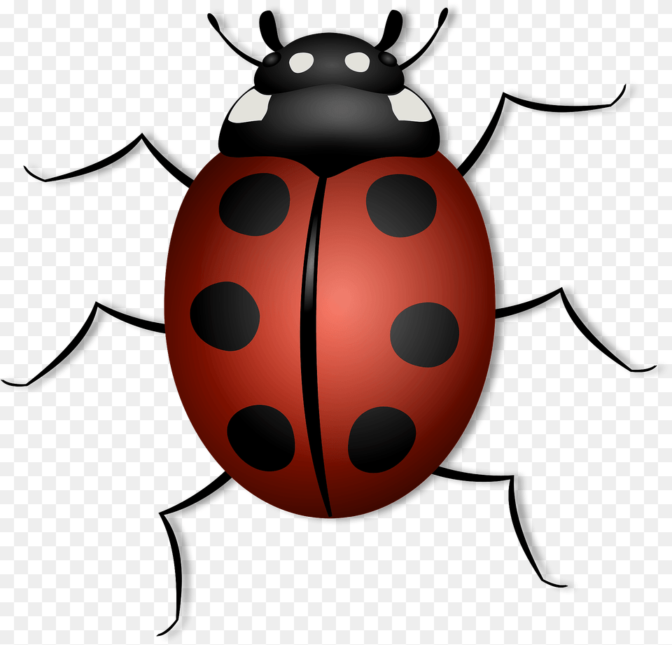 Ladybug Clipart, Animal Free Png Download
