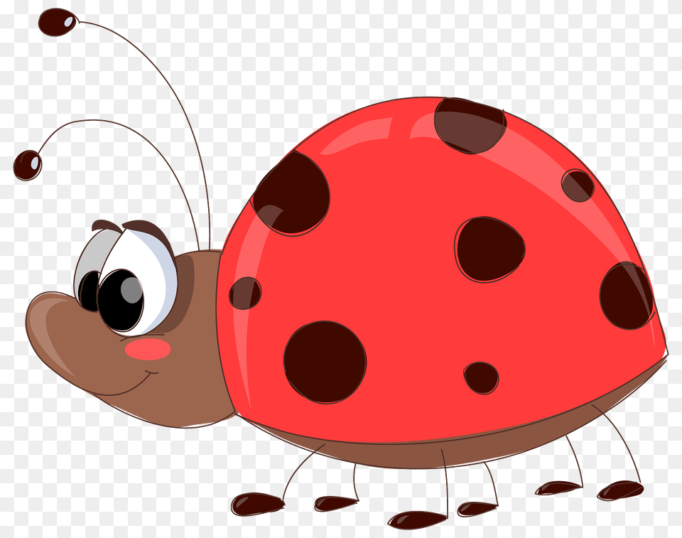 Ladybug Clipart, Animal, Fish, Sea Life, Shark Png