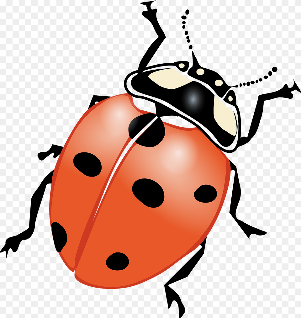 Ladybug Clipart, Animal Png