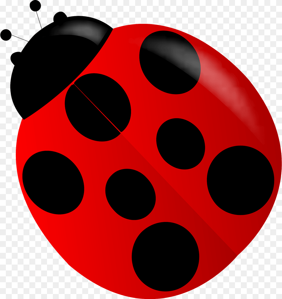 Ladybug Clipart Png Image