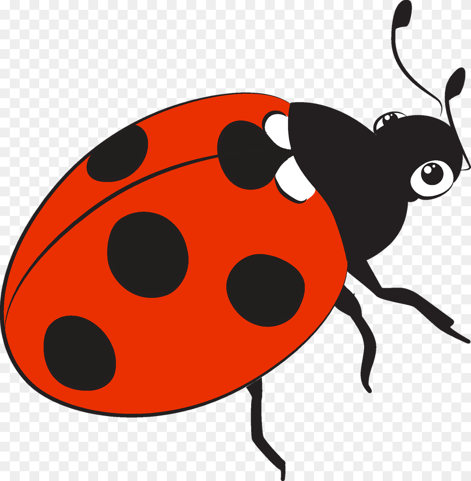 Ladybug Clipart, Animal Free Transparent Png