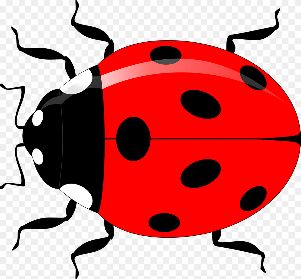 Ladybug Clipart, Animal Free Png