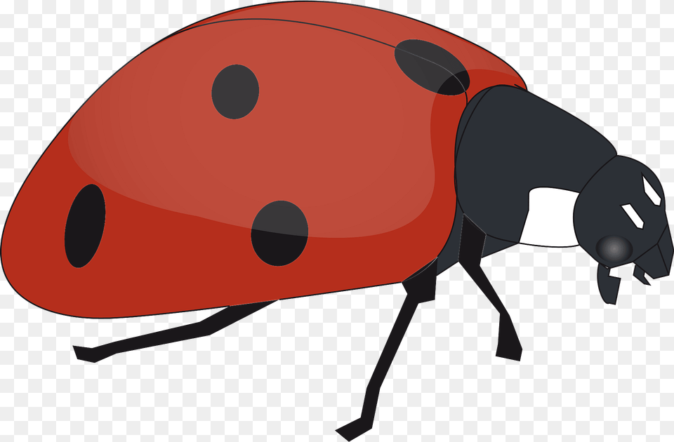 Ladybug Clipart, Animal Free Png Download