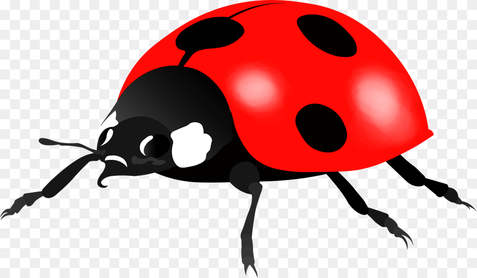 Ladybug Clipart, Animal, Fish, Sea Life, Shark Png