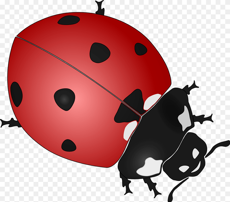 Ladybug Clipart, Animal Free Png