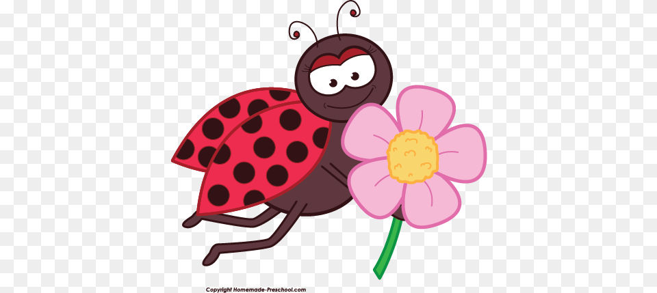 Ladybug Clipart Ladybug With Flower Clipart, Plant, Petal, Daisy Free Transparent Png